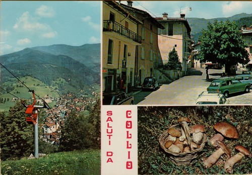 155146e vecchia cartolina
